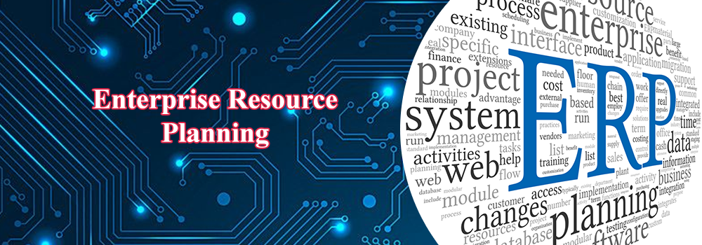ERP(Enterprise Resource Planning)