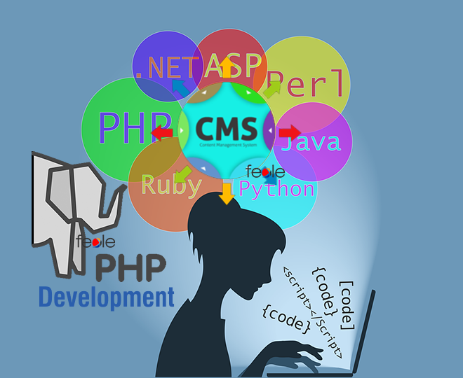 php development meaning